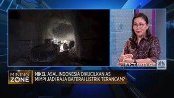 Nikel RI Dikucilkan AS, Mimpi RI Jadi Raja Baterai Terancam?