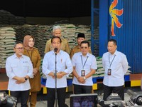 Jreng! Jokowi Butuh 640.000 Ton, Stok Beras Bulog Cuma Segini
