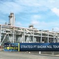 Kontribusi Badak NGL Tekan Impor LPG & Jadi LNG Hub Dunia
