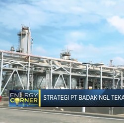 Kontribusi Badak NGL Tekan Impor LPG & Jadi LNG Hub Dunia