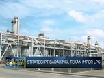 Kontribusi Badak NGL Tekan Impor LPG & Jadi LNG Hub Dunia