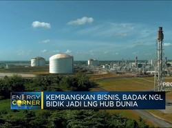 Strategi PT Badak NGL Tekan Impor LPG & Jadi LNG Hub Dunia