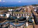 Anjlok 22% dalam 4 Hari, NCKL Sudah di Bawah Harga IPO
