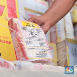 Bulog Tak Dapat Jatah Impor Daging Kerbau 100 Ribu Ton, Ini Alasannya