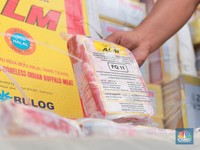 Pemerintah Lagi Berburu Daging Kerbau Murah Meriah di India