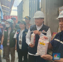 Pagi-pagi ke Priok, Buwas Bongkar 1 Kontainer Isinya Ini