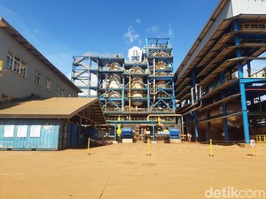 Harita Nickel Cetak Untung Rp 5,62 T di 2023, Naik 20%