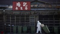 “WHO Reports First Fatal Case of H3N8 Bird Flu in Humans”