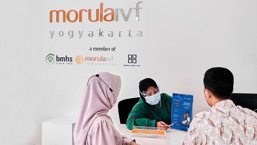 Morula IVF
