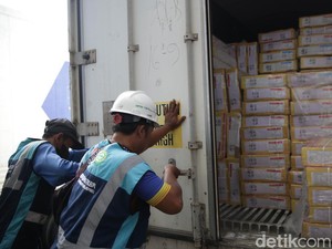 100 Ribu Ton Daging Kerbau India Bakal Banjiri RI