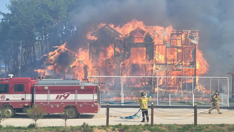 Ratusan warga Korea Selatan (Korsel) terpaksa dievakuasi dari rumah masing-masing setelah kebakaran hutan dan angin kencang terjadi di kota pesisir Gangneung. (via REUTERS/YONHAP)