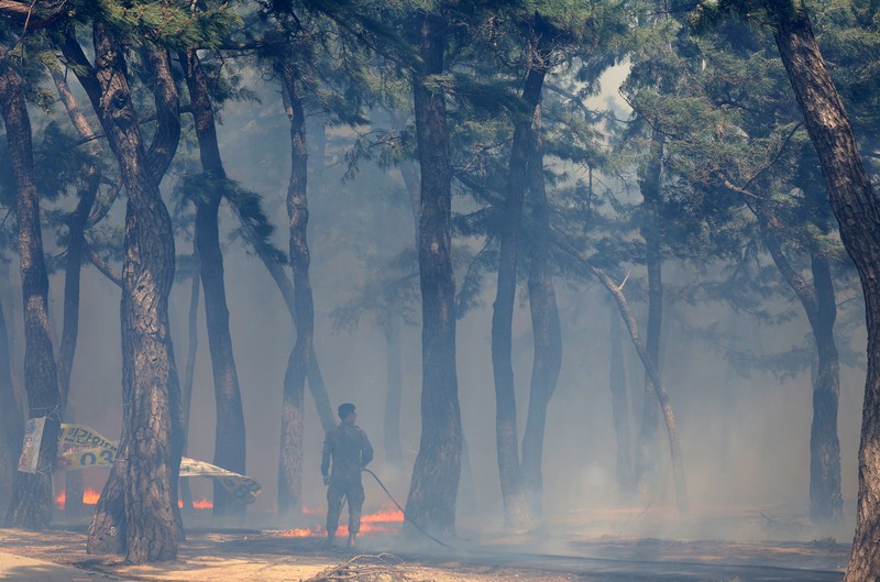 Ratusan warga Korea Selatan (Korsel) terpaksa dievakuasi dari rumah masing-masing setelah kebakaran hutan dan angin kencang terjadi di kota pesisir Gangneung. (via REUTERS/YONHAP) Ratusan warga Korea Selatan (Korsel) terpaksa dievakuasi dari rumah masing-masing setelah kebakaran hutan dan angin kencang terjadi di kota pesisir Gangneung. (via REUTERS/YONHAP)