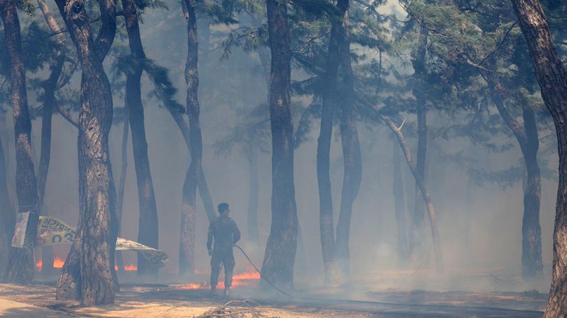Ratusan warga Korea Selatan (Korsel) terpaksa dievakuasi dari rumah masing-masing setelah kebakaran hutan dan angin kencang terjadi di kota pesisir Gangneung. (via REUTERS/YONHAP)
