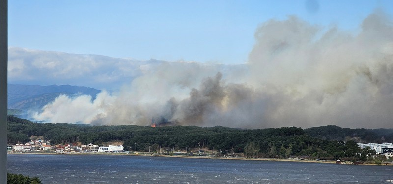 Ratusan warga Korea Selatan (Korsel) terpaksa dievakuasi dari rumah masing-masing setelah kebakaran hutan dan angin kencang terjadi di kota pesisir Gangneung. (via REUTERS/YONHAP) Ratusan warga Korea Selatan (Korsel) terpaksa dievakuasi dari rumah masing-masing setelah kebakaran hutan dan angin kencang terjadi di kota pesisir Gangneung. (via REUTERS/YONHAP)