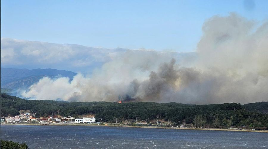 Ratusan warga Korea Selatan (Korsel) terpaksa dievakuasi dari rumah masing-masing setelah kebakaran hutan dan angin kencang terjadi di kota pesisir Gangneung. (via REUTERS/YONHAP)