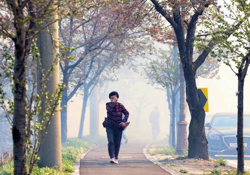 Ratusan warga Korea Selatan (Korsel) terpaksa dievakuasi dari rumah masing-masing setelah kebakaran hutan dan angin kencang terjadi di kota pesisir Gangneung. (via REUTERS/YONHAP) Ratusan warga Korea Selatan (Korsel) terpaksa dievakuasi dari rumah masing-masing setelah kebakaran hutan dan angin kencang terjadi di kota pesisir Gangneung. (via REUTERS/YONHAP)