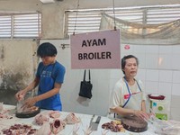 Harga Daging Ayam Meledak, Ada Rencana Pedagang Mogok Jualan