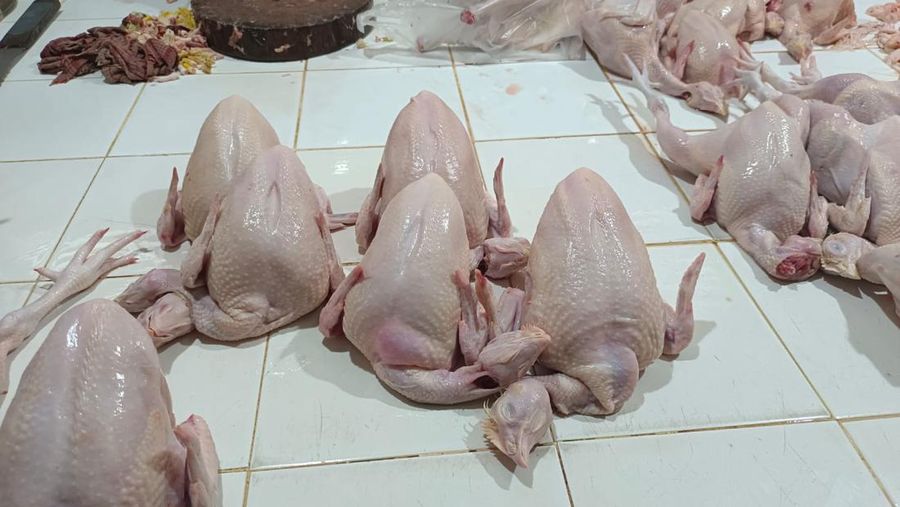 Daging Ayam (CNBC Indonesia/Martya)