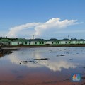 Penampakan Sisa Tambang Nikel Disulap Jadi Beton & Rumah Baru