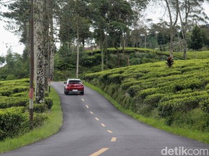 Mobil Lebih Kuat Lewat Tanjakan Jika Berjalan Mundur, Mitos atau Fakta?