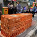 Peternak Ayam Mau Turun Gunung Demo di Jakarta, Kenapa?