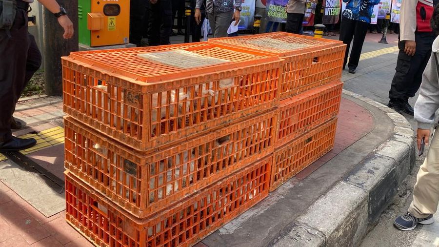 Sebanyak 50 peternak ayam yang tergabung dalam Komunitas Peternak Unggas Nasional (KPUN) menggelar aksi demo hari ini Jumat (14/4/2023) di depan gedung Kementerian Perdagangan. (Dok. Alvino Antonio/ Komunitas Peternak Unggas Nasional)