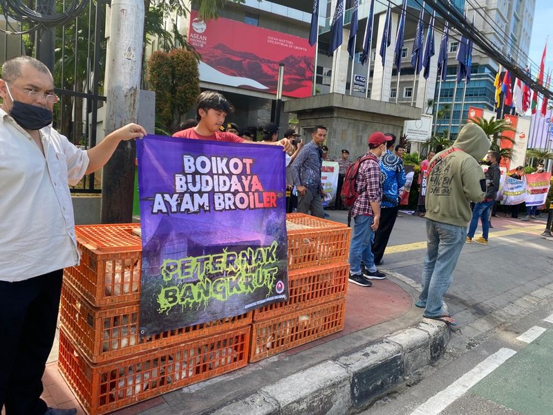 Sebanyak 50 peternak ayam yang tergabung dalam Komunitas Peternak Unggas Nasional (KPUN) menggelar aksi demo hari ini Jumat (14/4/2023) di depan gedung Kementerian Perdagangan. Sebanyak 50 peternak ayam yang tergabung dalam Komunitas Peternak Unggas Nasional (KPUN) menggelar aksi demo hari ini Jumat (14/4/2023) di depan gedung Kementerian Perdagangan. (Dok. Alvino Antonio/ Komunitas Peternak Unggas Nasional)