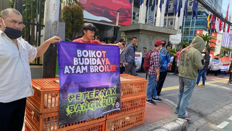Sebanyak 50 peternak ayam yang tergabung dalam Komunitas Peternak Unggas Nasional (KPUN) menggelar aksi demo hari ini Jumat (14/4/2023) di depan gedung Kementerian Perdagangan. (Dok. Alvino Antonio/ Komunitas Peternak Unggas Nasional)