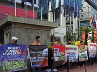 Potret Aksi Demo Peternak Ayam Ras & Bagi-bagi Ayam di Jalan