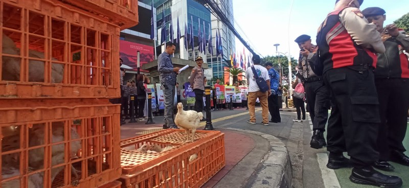 Sebanyak 50 peternak ayam yang tergabung dalam Komunitas Peternak Unggas Nasional (KPUN) menggelar aksi demo hari ini Jumat (14/4/2023) di depan gedung Kementerian Perdagangan. Sebanyak 50 peternak ayam yang tergabung dalam Komunitas Peternak Unggas Nasional (KPUN) menggelar aksi demo hari ini Jumat (14/4/2023) di depan gedung Kementerian Perdagangan. (Dok. Alvino Antonio/ Komunitas Peternak Unggas Nasional)