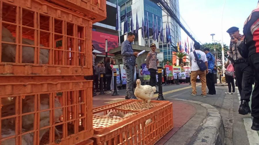 Sebanyak 50 peternak ayam yang tergabung dalam Komunitas Peternak Unggas Nasional (KPUN) menggelar aksi demo hari ini Jumat (14/4/2023) di depan gedung Kementerian Perdagangan. (Dok. Alvino Antonio/ Komunitas Peternak Unggas Nasional)