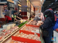 Hanya Besok, Daging Ayam Cuma Rp 23.920/Ekor di Transmart