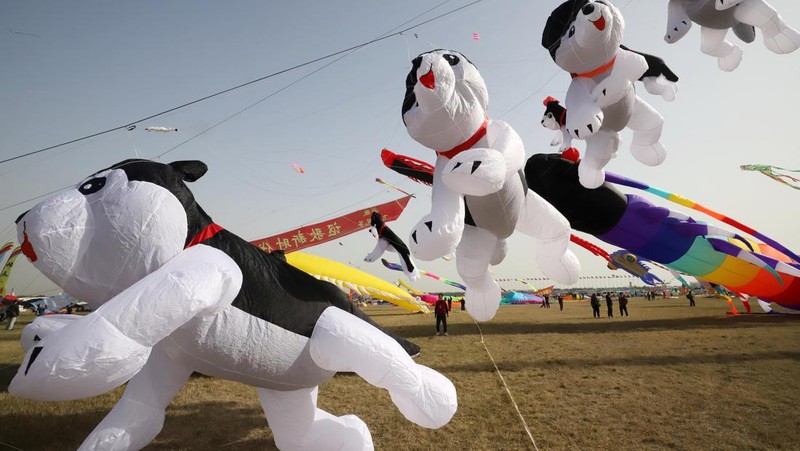 Festival Layang-layang. (VCG via Getty Images)