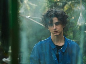 Nasehat Leonardo DiCaprio ke Timothee Chalamet: No Superhero Movies