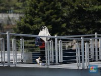 Cuaca Panas Mendidih di RI Bukan Heatwave, Ini Penjelasannya