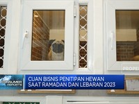 Cuan Bisnis Penitipan Hewan Saat Ramadan dan Lebaran 2023