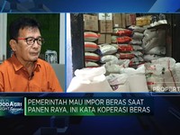 Pemerintah Mau Impor Beras Saat Panen Raya, Ini Kata Koperasi