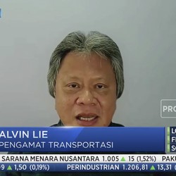 Pemudik Lewat Jalur Udara Meningkat, Pengamat Himbau Hal Ini