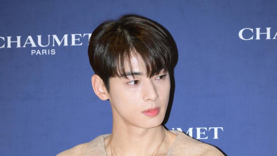 Cha Eun Woo ASTRO. (ImaZins via Getty Images/The Chosunilbo JNS)