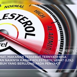 Santapan Lebaran Bikin Kolesterol Naik? Minum 6 Ramuan Ini!