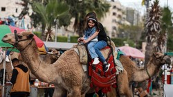 Tradisi Unik Idul Adha di Berbagai Negara, Indonesia Hingga Palestina