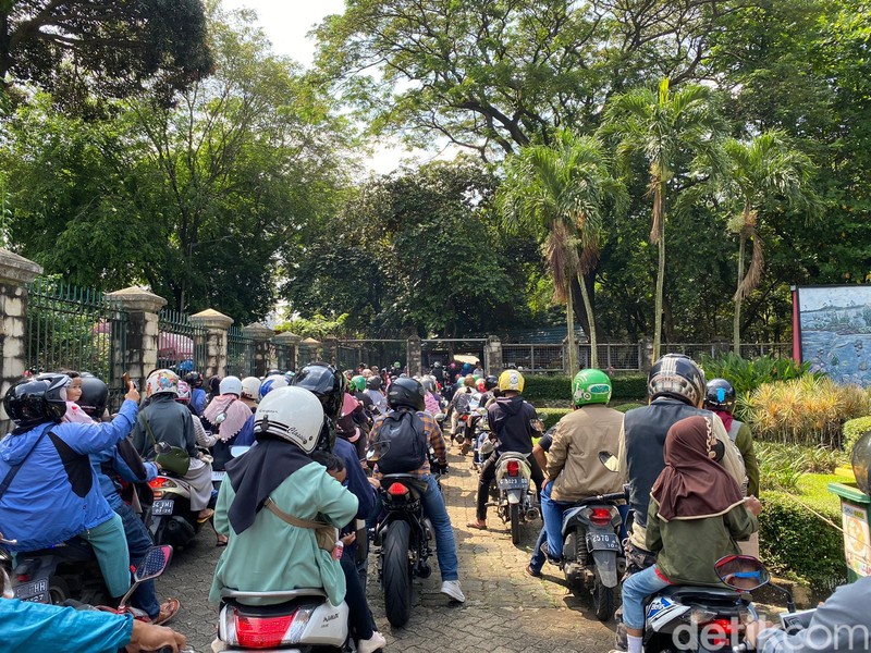 Kebun Binatang Ragunan (Devi/detikcom)