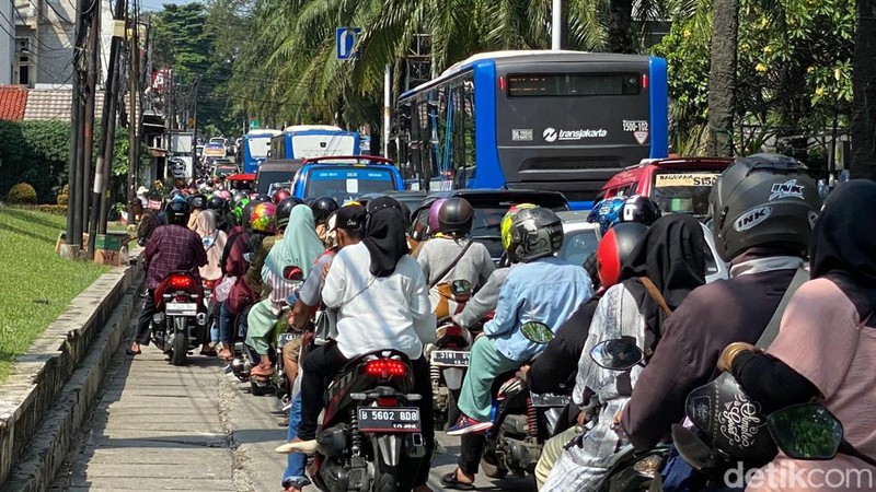 Kebun Binatang Ragunan (Devi/detikcom)