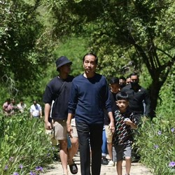 Jokowi Nyaris Konsumsi Makanan Berformalin, Ini Bahayanya