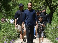 Jokowi Nyaris Konsumsi Makanan Berformalin, Ini Bahayanya