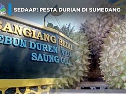 Sedaap! Pesta Durian di Sumedang