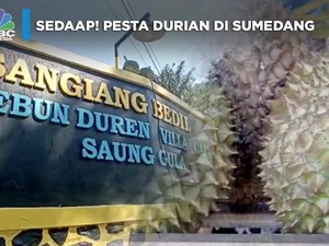 Sedaap! Pesta Durian di Sumedang