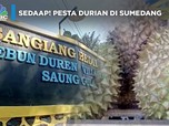 Sedaap! Pesta Durian di Sumedang