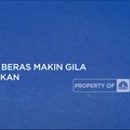Ngeri! Harga Beras Makin Gila Dan Menakutkan