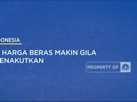 Ngeri! Harga Beras Makin Gila Dan Menakutkan